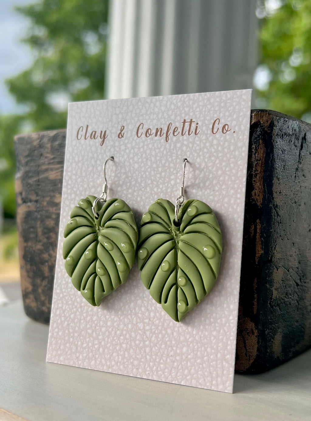 Dewdrop philodendron Dangle